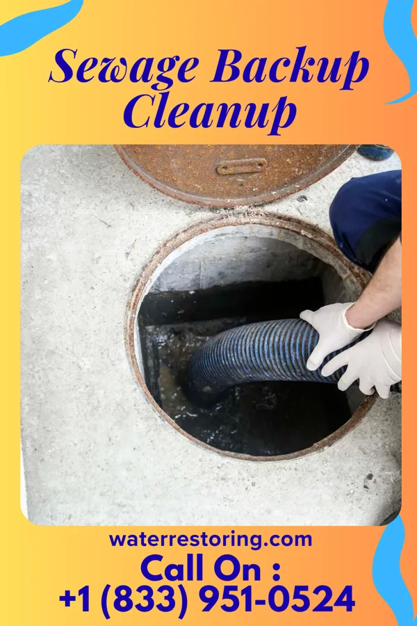 Sewage Backup Cleanup in Prescott, IA
